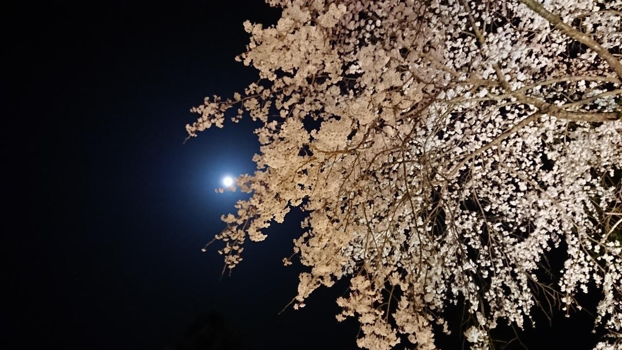Temple Lodging Shukubo Kakurinbo Minobu Kültér fotó